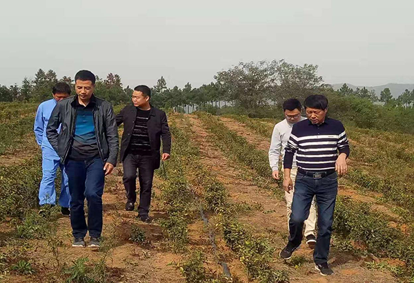 2019110103.png 2019110103.png