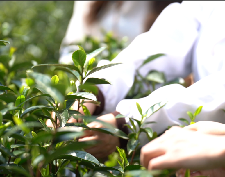 微信圖片_20250317134927.png 微信圖片_20250317134927.png